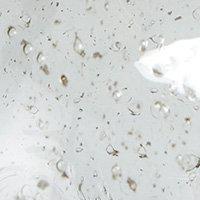Groove bordlampa – Clear/foileffect 30c