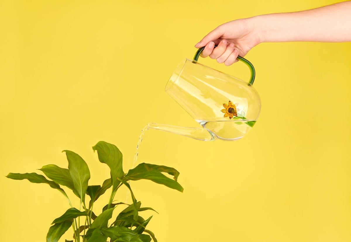 Vattenkanna Botanical, Solros 1,0l