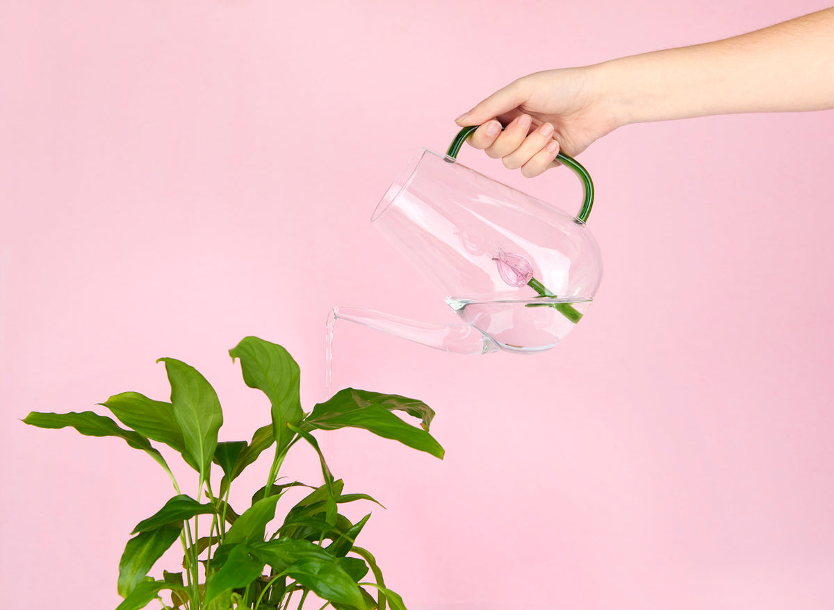 Vattenkanna Botanical, Tulpan 1,0l