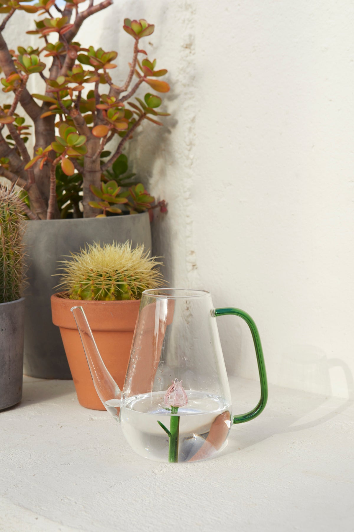 Vattenkanna Botanical, Tulpan 1,0l